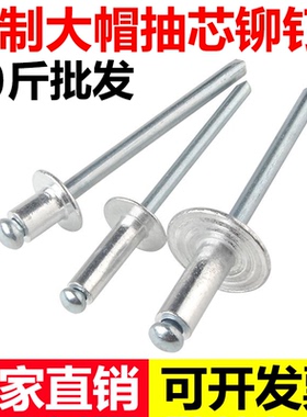 大帽抽芯拉铆钉半圆头拉抽芯铝合金拉铆钉丁加大盖厂家大边大帽沿