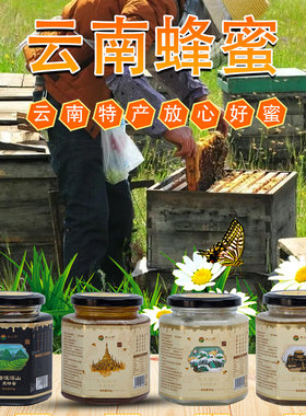 云南高原深山蜂蜜成熟自然真原蜜土悬崖椴树雪蜜致山野致山野500g