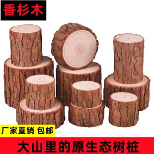 小木桩原木墩树桩树干盲盒底座摆件拍摄道具手工diy园艺壁炉装饰