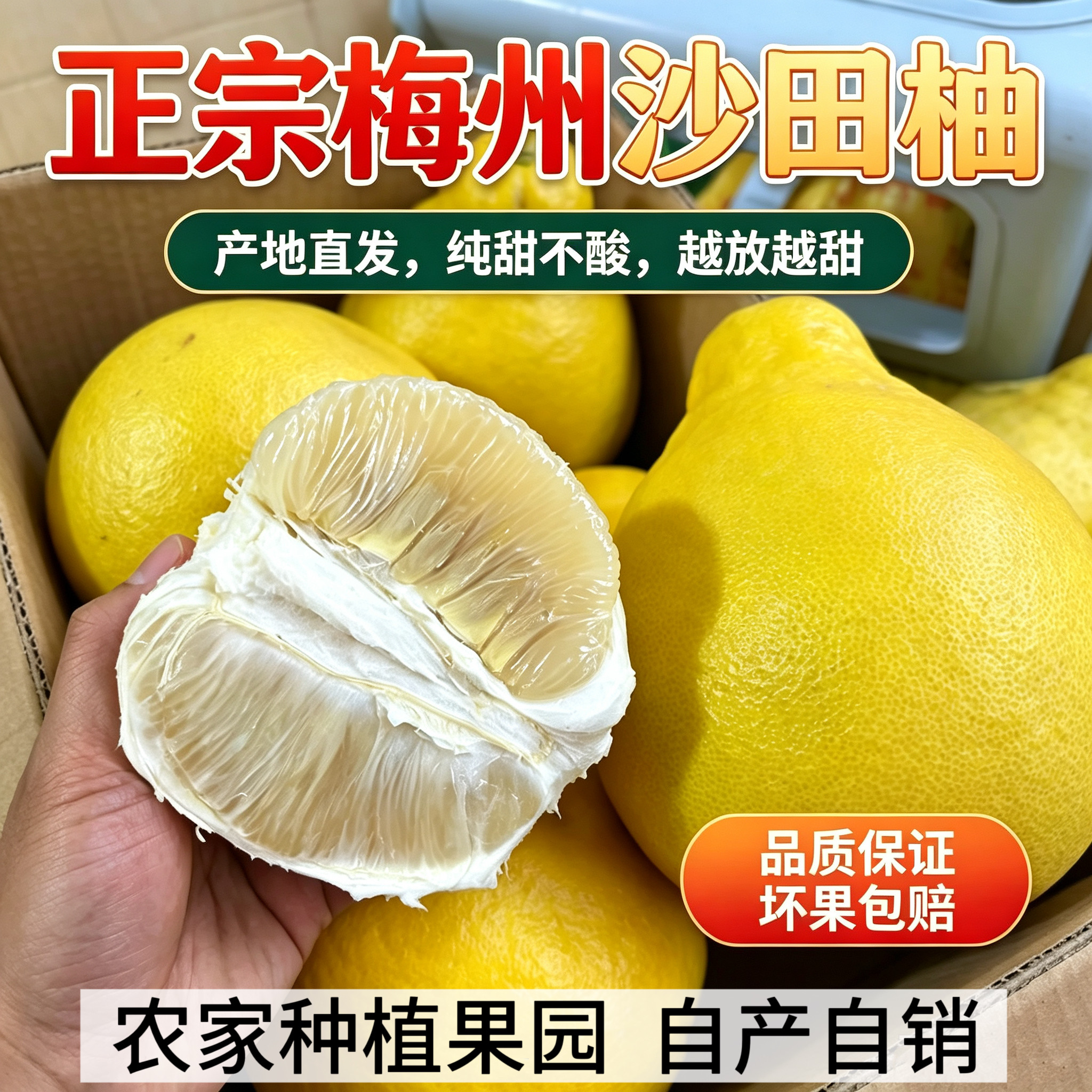 广东正宗梅州纯甜沙田柚白心金柚当季新鲜孕妇水果老树大果甜柚子