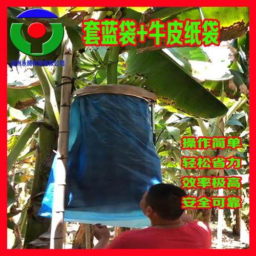 不锈钢香蕉套袋器 香蕉套袋神器套香蕉袋子工具机器