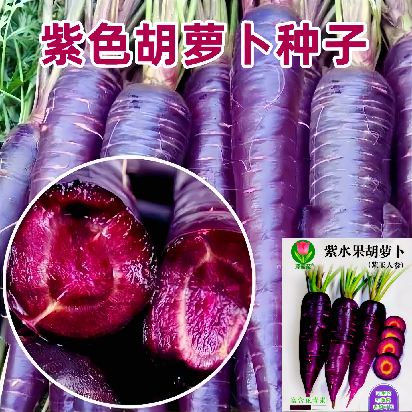 正宗紫玉人参紫水果胡萝卜种子