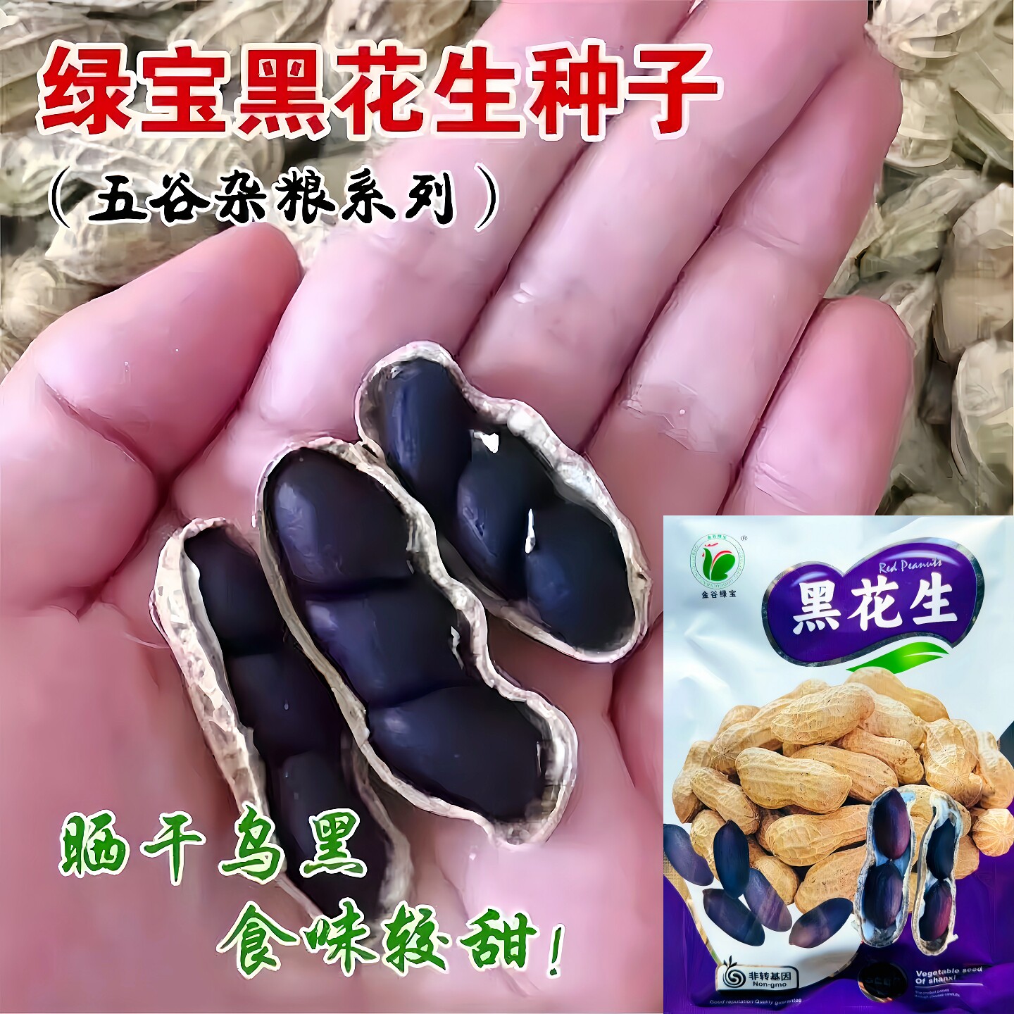 绿宝黑花生种子正品保障原厂包装图片