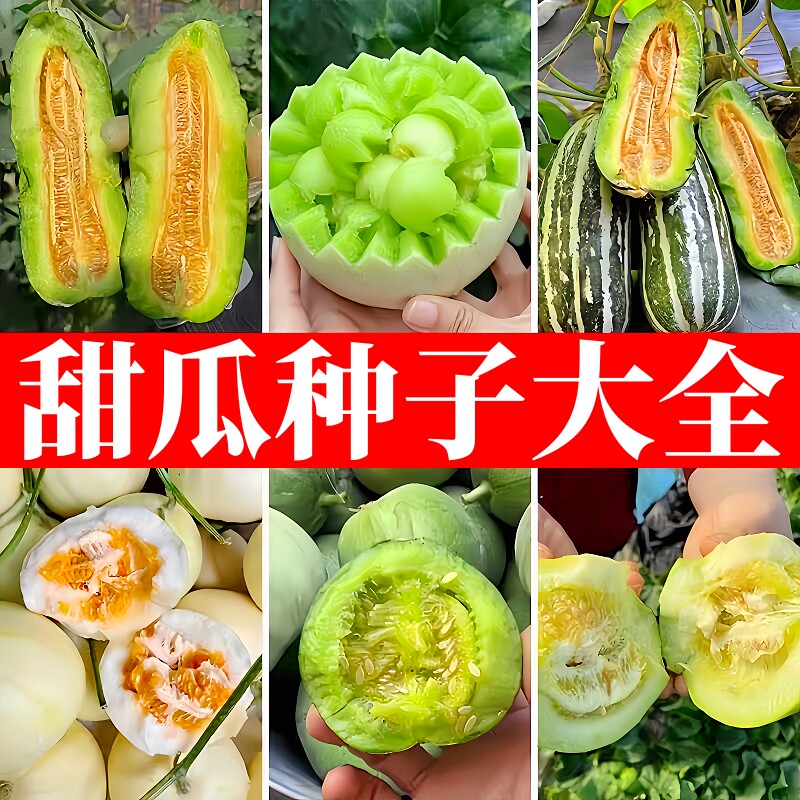香瓜种籽大全羊角蜜绿宝石玉菇茹日本甜宝种子孑庭院盆栽四季可种