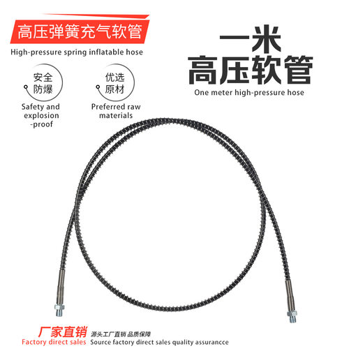 1M63MPA高压软管30MPA高压打气筒专用出气管配件气瓶大转小链接管