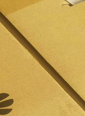 华为SIG9800 IG2D00SPUF21 0305724