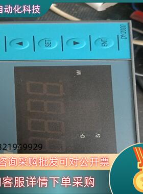 现货东辉大延仪表DY2000