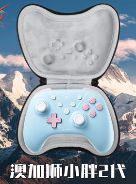 虎炳适用AOLION澳加狮小胖2代手柄包福音K20手柄收纳盒青春版pro保护壳pc电脑版抗压黑神话悟空手柄收纳包