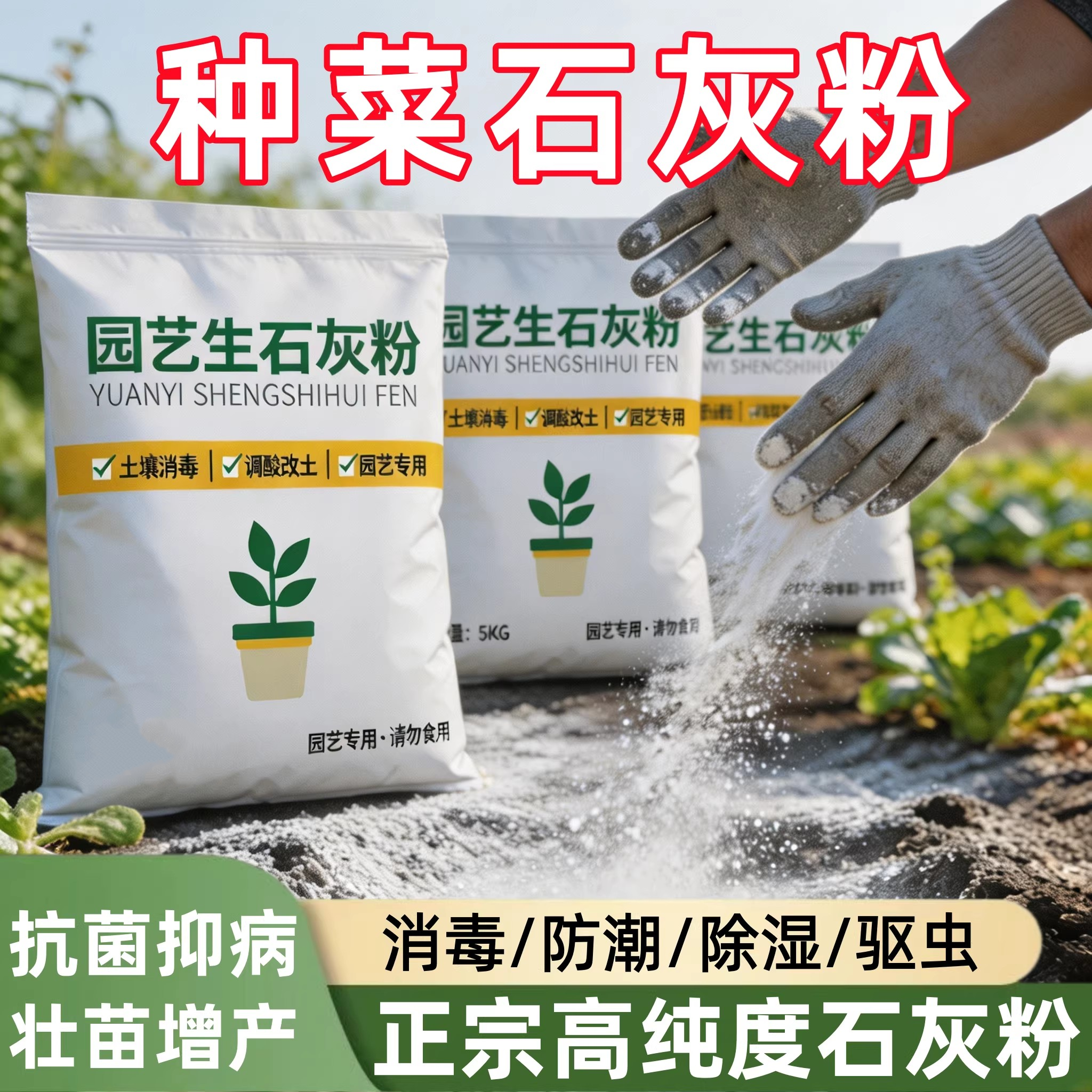 【蔬菜专用】生石灰粉土壤杀菌菜地除虫改善土壤高纯度生石灰防虫