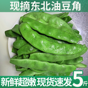 东北油豆角现摘新鲜蔬菜5斤一点红大油豆农家自种特产美食无筋豆