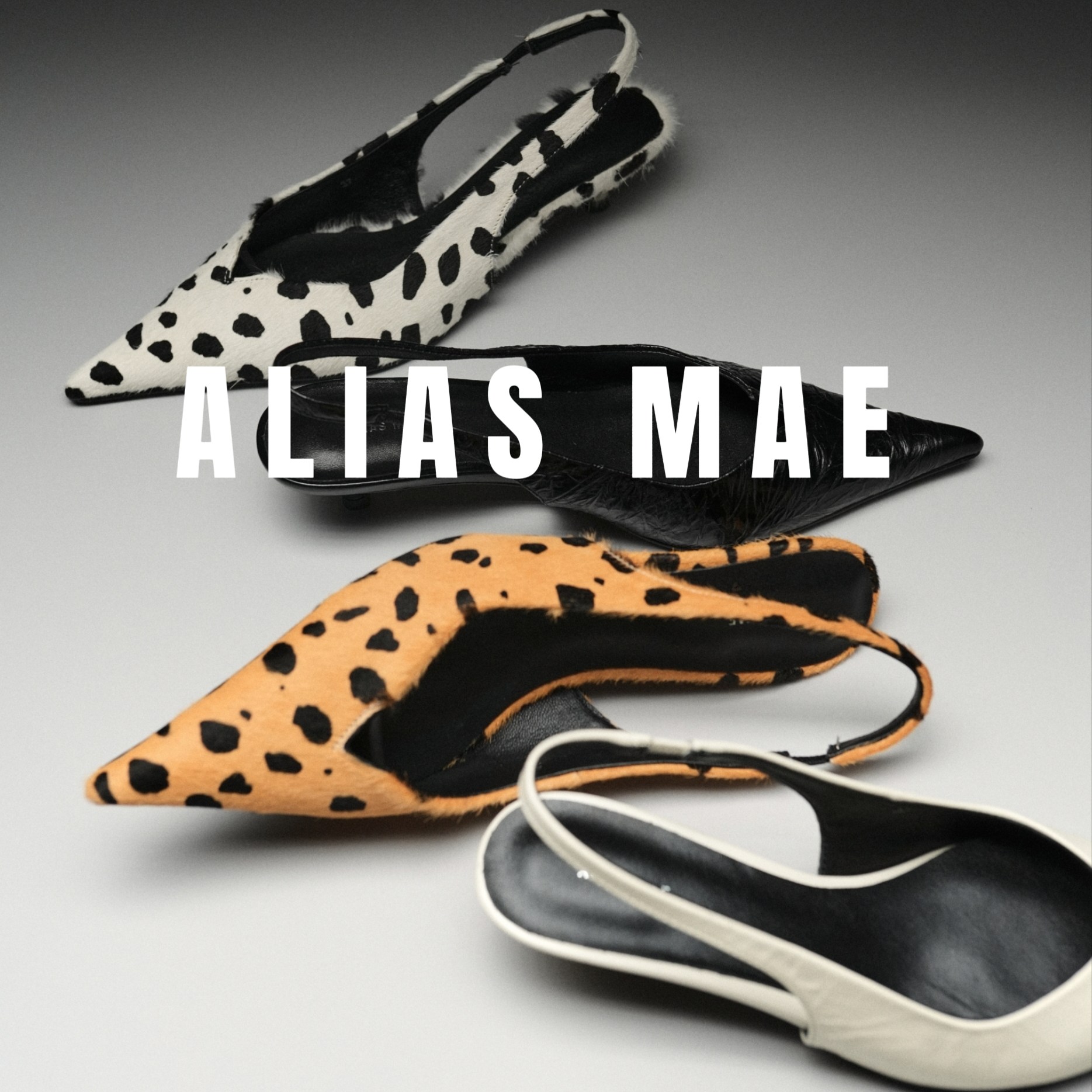 ALIASMAE尖头马毛猫跟女单鞋