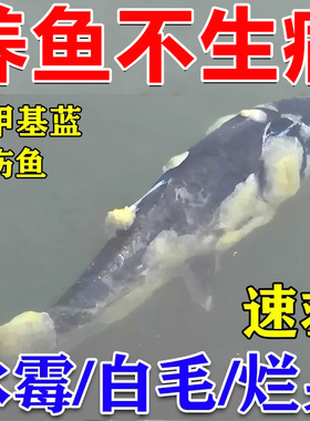 鱼病一塘清急救亚甲基蓝鱼病烂身烂尾白点净水霉病鱼池消毒杀菌剂