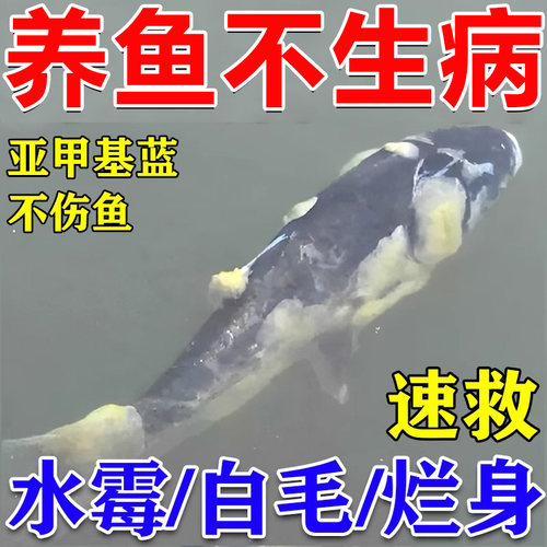 鱼病一塘清急救亚甲基蓝鱼病