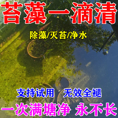 鱼池鱼塘除藻剂去苔剂青苔清除剂鱼缸除绿水绿藻速灭蓝藻净不伤鱼