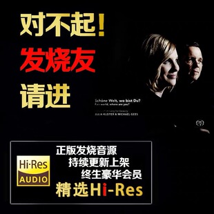 无损音乐下载网站hires精选会员dsd高解析wav母带hifi发烧音源
