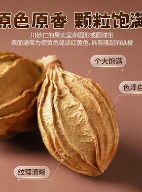 包炖邮稻稻熊川仁砂仁100gXNL川沙搭配八角草果小茴香煮烧卤煲汤