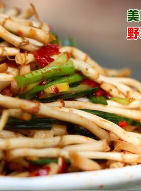 野葱凉0拌耳根辣椒酱新鲜节根鱼腥折草腌制油辣椒节嫩UEC芽下饭菜