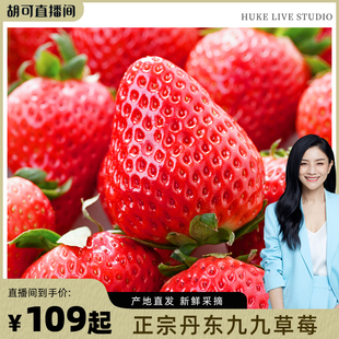 99草莓当季 现货丹东草莓新鲜采摘头茬大果甜草莓孕妇水果顺丰 包邮