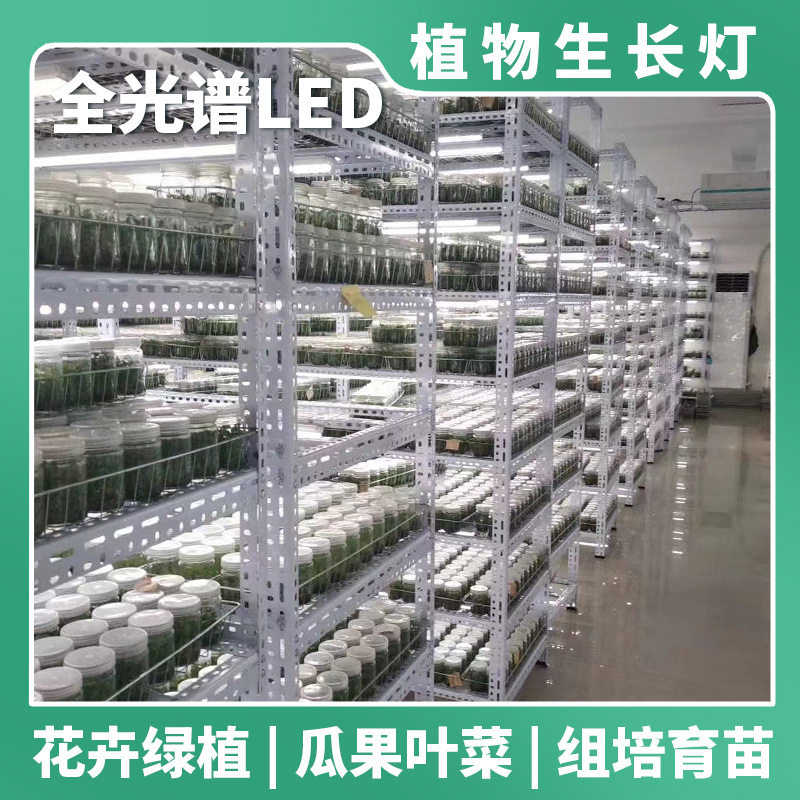 组培专用灯仿太阳led植物