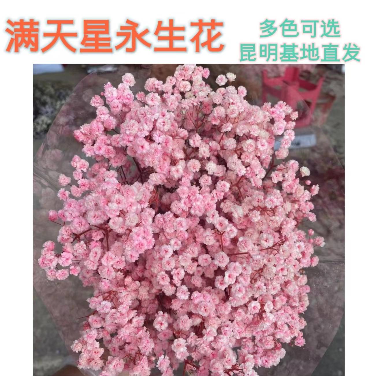 永生花满天星母亲节情人节礼物地摊干花花束伴手礼手工材料包