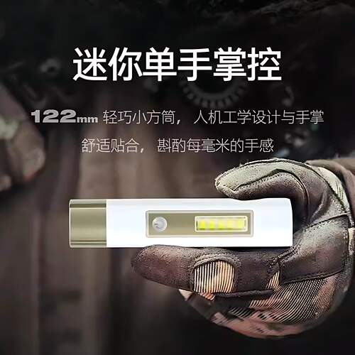 德国强光led手电筒可充宝