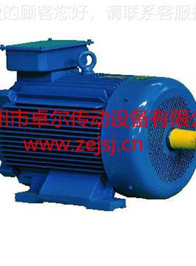 YZR YZ YZRE YZE YZP YZP YEZR 冶金起重电 三相B异步机电动机