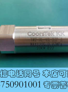 全新CoorsTek 过滤器 TM2-HL-VR-03P-A M询价