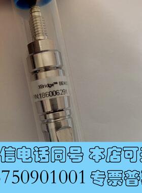 全新waters色谱柱保护柱,短柱,XbridgeBEHC1需询价