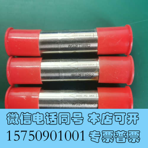全新英特格/Entegris 真空过滤器 WG2FT1RR2询价