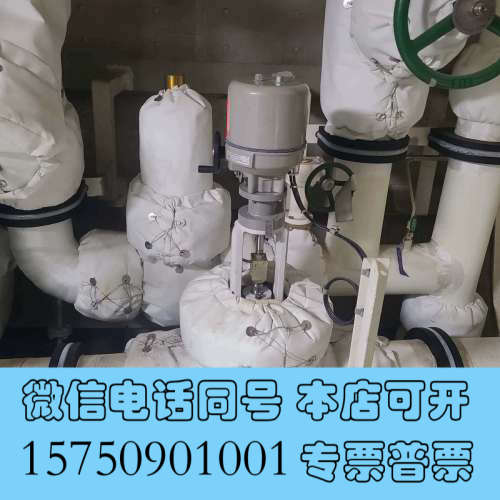 全新普莱格温控阀驱动头 SBA45-3全新 现货PLEIGE询价