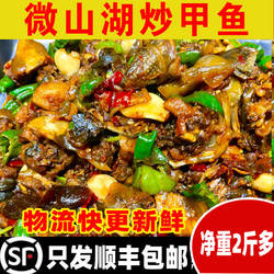 炒甲鱼 整只甲鱼熟食即食甲鱼汤水鱼山东济宁微山湖特产 2斤多