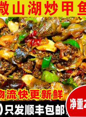 炒甲鱼（只发顺丰快递）