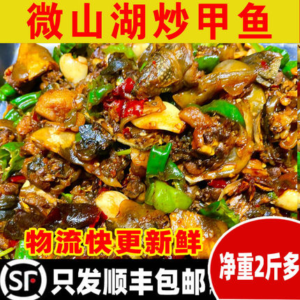 炒甲鱼 整只甲鱼熟食即食甲鱼汤水鱼山东济宁微山湖特产 2斤多