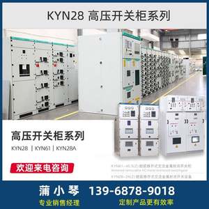 高档10kv高压开关柜中置柜KYN28环网柜HXGN15充气柜SRM进线出线配