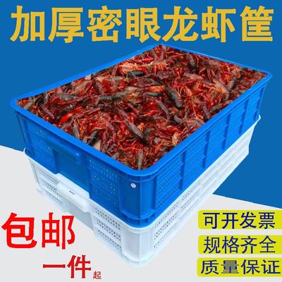 塑料筐虾苗养殖长方形周