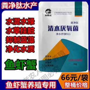 厂家直供粪净肽 不耗氧粪静肽清水厌氧菌水浑水浓水绿降氨氮亚盐
