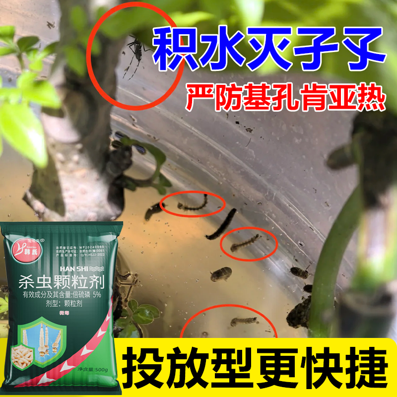 广东地区现货灭蚊子幼虫孑孓