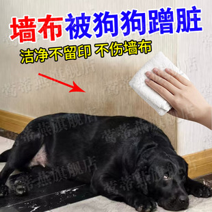墙布壁纸被狗狗蹭黑墙布专用清洗剂免洗去污油脂涂鸦泡沫干洗剂xd