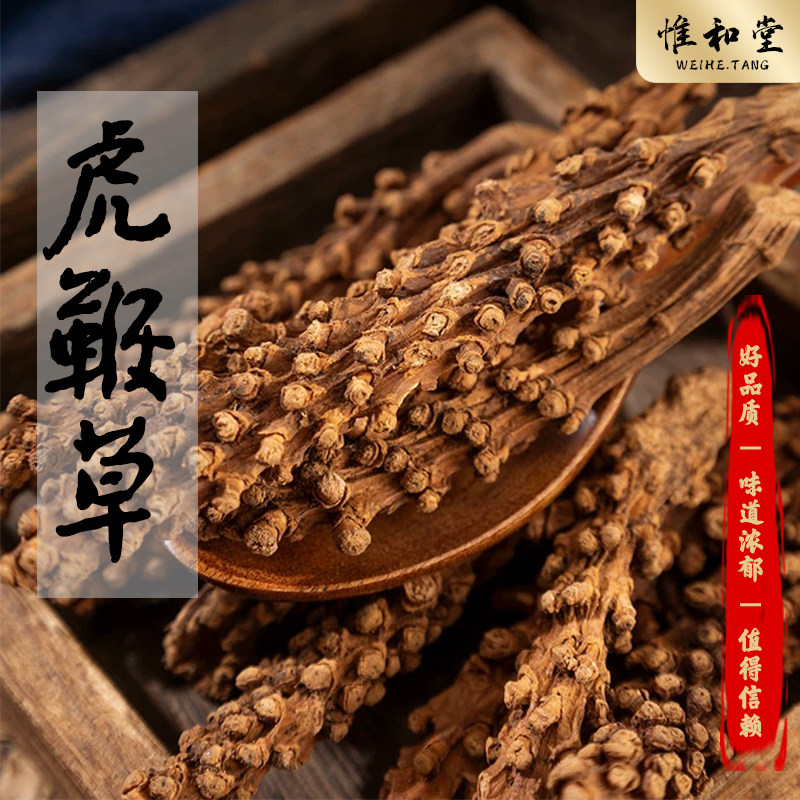 云南正宗虎鞭草新货男性滋补养生子孙草硬劲草不老草嗷嗷叫