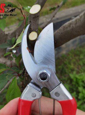 日本爱丽斯修枝剪ARS120S-8进口果枝剪粗枝剪园艺工具果树整枝剪