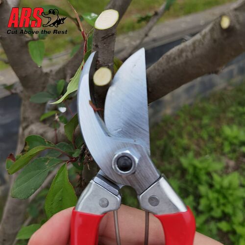 日本爱丽斯修枝剪ARS120S-8进口果枝剪粗枝剪园艺工具果树整枝剪
