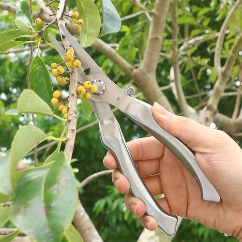 全钢弯头修枝剪刀大号多功摘果剪花剪粗枝鸟嘴果树园艺剪sk5剪子