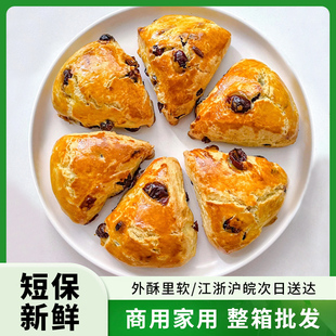 鲁大森三角司康全麦提子蔓越莓西式 糕点下午茶甜点咖啡店茶歇点心