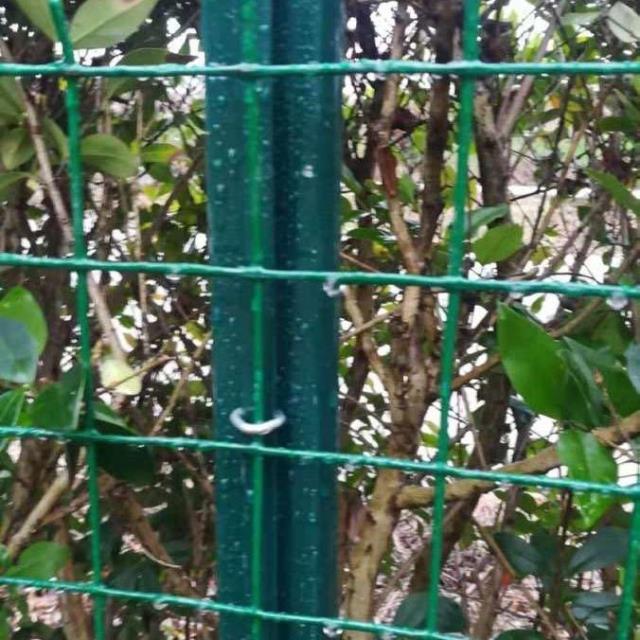 厂销硬塑铁丝网围栏加粗养殖网围栏隔离网拦鸡网圈地果园绿色钢品