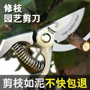 修枝剪园艺剪刀剪树枝专用剪刀粗枝剪园林修剪果树修枝花艺修花剪