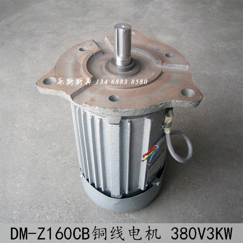 河北沧州铁狮磨浆机电机马达豆浆机纯铜心电动机发动机豆腐机配件