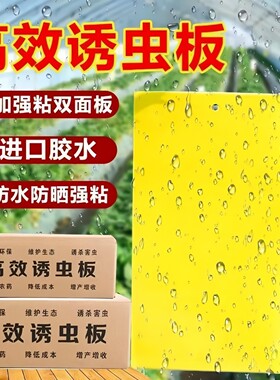 双面粘虫黄板大棚园艺