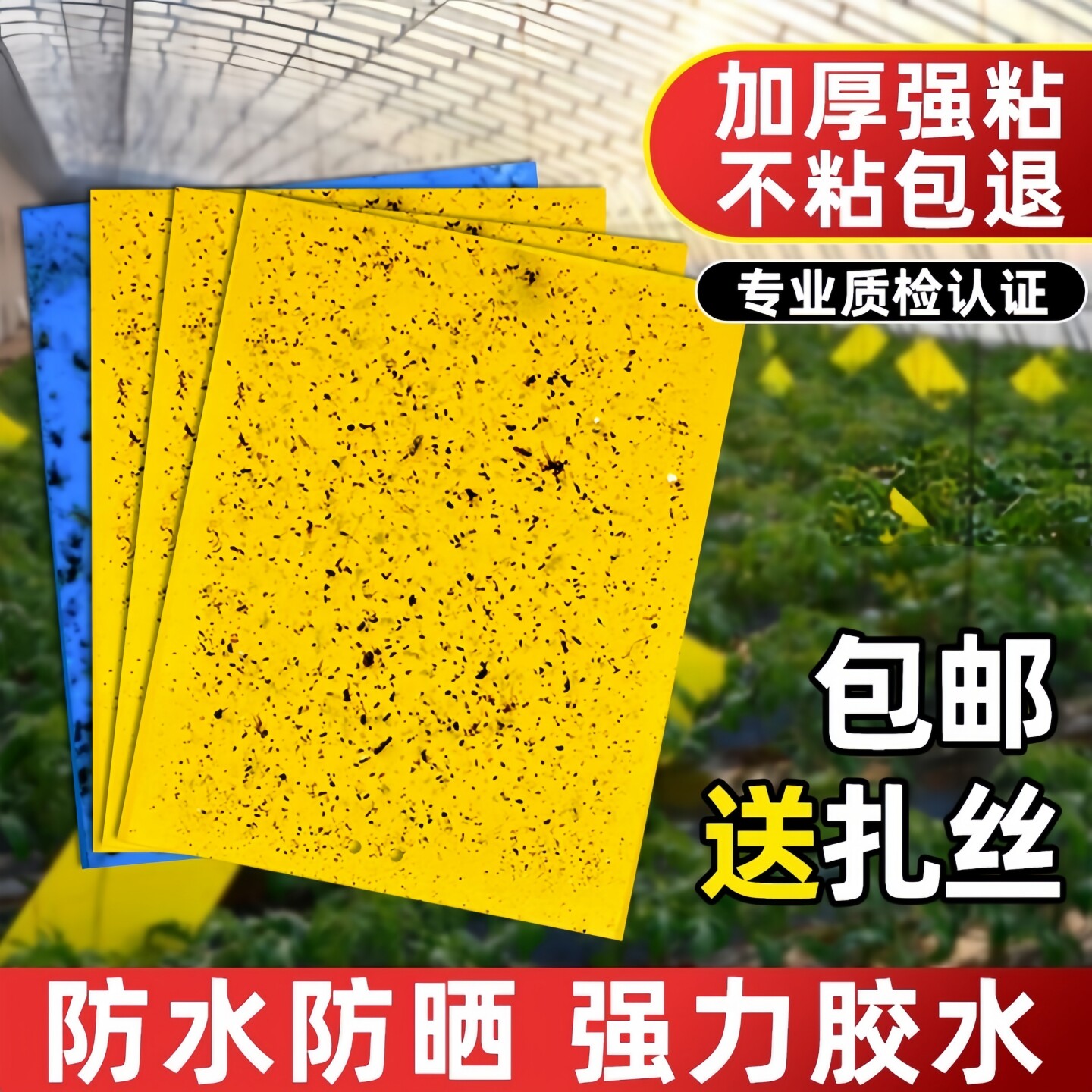 粘虫板黄板双面大棚菜园小飞虫果蝇诱捕器粘蚊贴苍蝇贴果园粘蝇纸