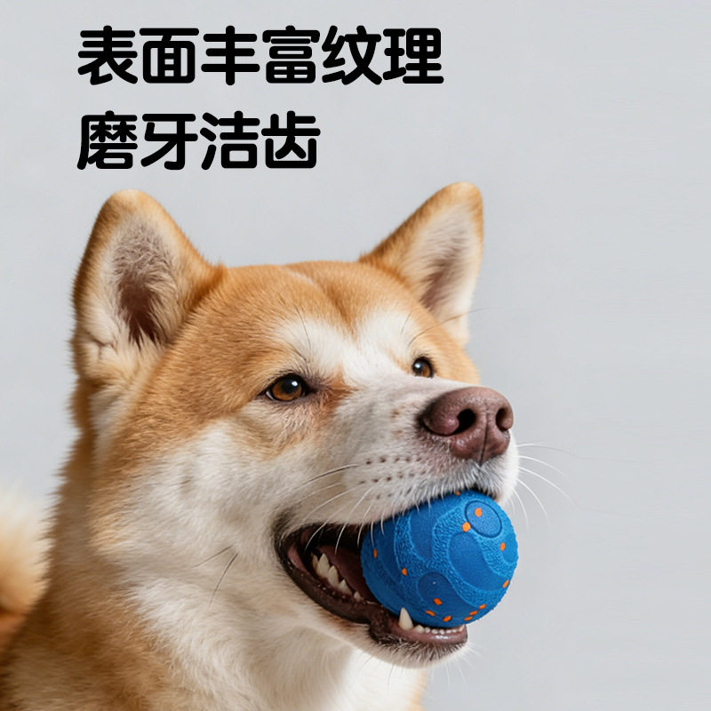 狗狗电动玩具宠物小狗幼图片
