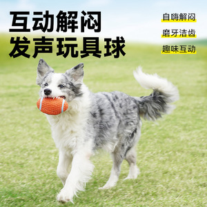 宜特狗狗足球玩具互动抛掷排球乳胶球大号橄榄球网球法斗金毛